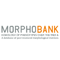 MorphoBank Documentation